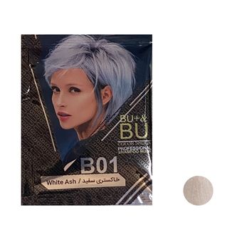شامپو رنگ مو بیو مدل شماره B.01 حجم 30 میلی لیتر رنگ خاکستری سفید
