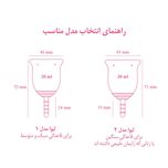 کاپ قاعدگی لیوا فارما سایز کوچک به همراه لیوان کاپ قاعدگی لیوا فارما مدل Mate02