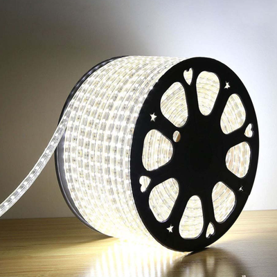 ریسه شلنگی (نور مخفی) 1 متری