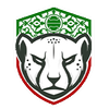 تیم‌ملی.شاپ