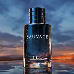 ادو پرفیوم مردانه دیور مدل Dior Sauvage - کیفیت ماندگار Luzi
