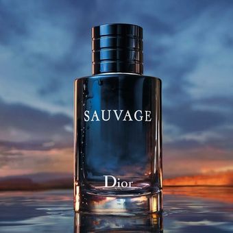 ادو پرفیوم مردانه دیور مدل Dior Sauvage - کیفیت ماندگار Luzi