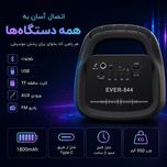 اسپیکر بلوتوثی قابل حمل اور الکتریک مدل EVER-844