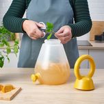 کلمن ایکیا مدل NÄBBFISK-NEW گنجایش 4 لیتر