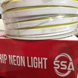 ریسه نئون فلکسی اس اس ای مدل 2835-SSA طول 3 متر 