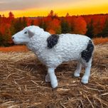 فیگور مدل حیوانات اهلی مجموعه 3 عددی