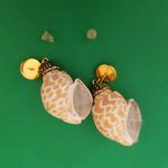 گوشواره زنانه مدل صدف 02