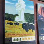 بازی فکری مدل پارک ها PARKS