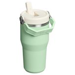 تراول ماگ استنلی مدل IceFlow Flip Straw Tumbler 2.0 گنجایش 0.59 لیتر