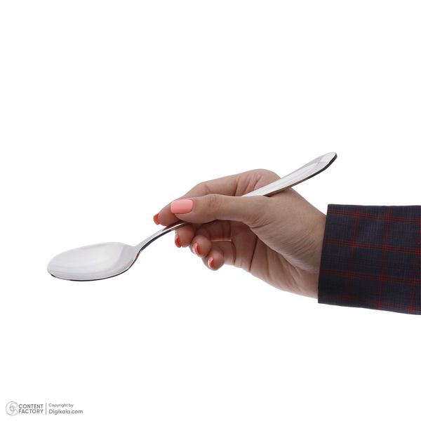 سرویس قاشق و چنگال 12 پارچه ام جی اس مدل DF020-S