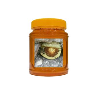 عسل طبیعی وحشی کوهی شهر طبیعت 900 گرم( ارسال رایگان)