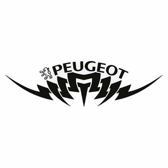 برچسب بدنه خودرو صفا مدل شیر