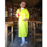 قناری پنجره