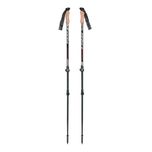 عصای کوهنوردی فیزان مدل Adventure بسته دو عددی