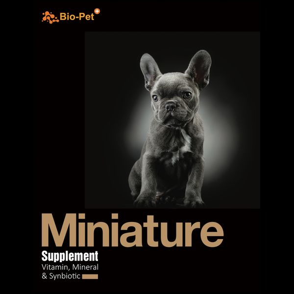 مکمل سگ آپارتمانی بایو پت مدل Miniature وزن 200 گرم