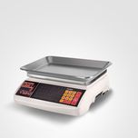 ترازوی W5600 رادین