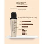 اسپیکر بلوتوثی مدل K12 همراه دو میکروفون بی سیم