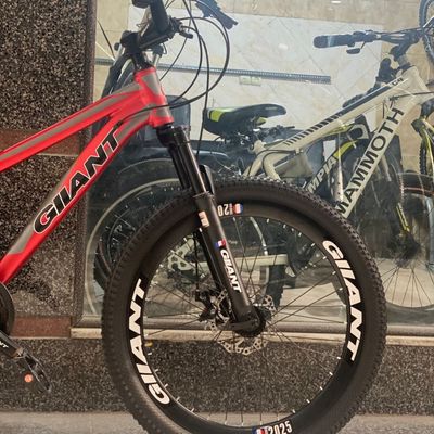 دوچرخه GIIANT سایز 24