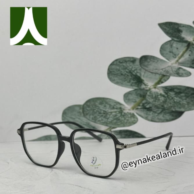 عینک بلوکات کد 231