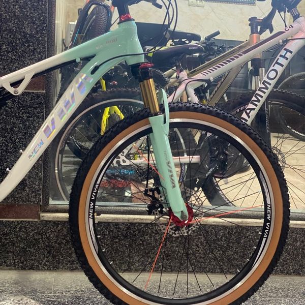 دوچرخه ویوا سایز 26 دو کمک