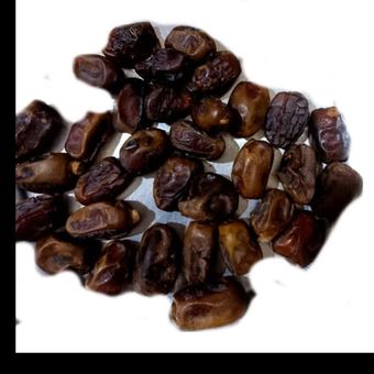 خرمای دگل ادامسی