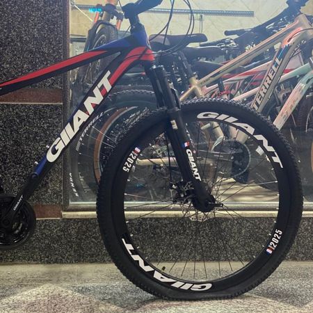 دوچرخه برند جیانت (GIIANT) سایز 29 مشکی (آبی/قرمز)