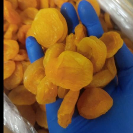 برگه زردآلو قیسی