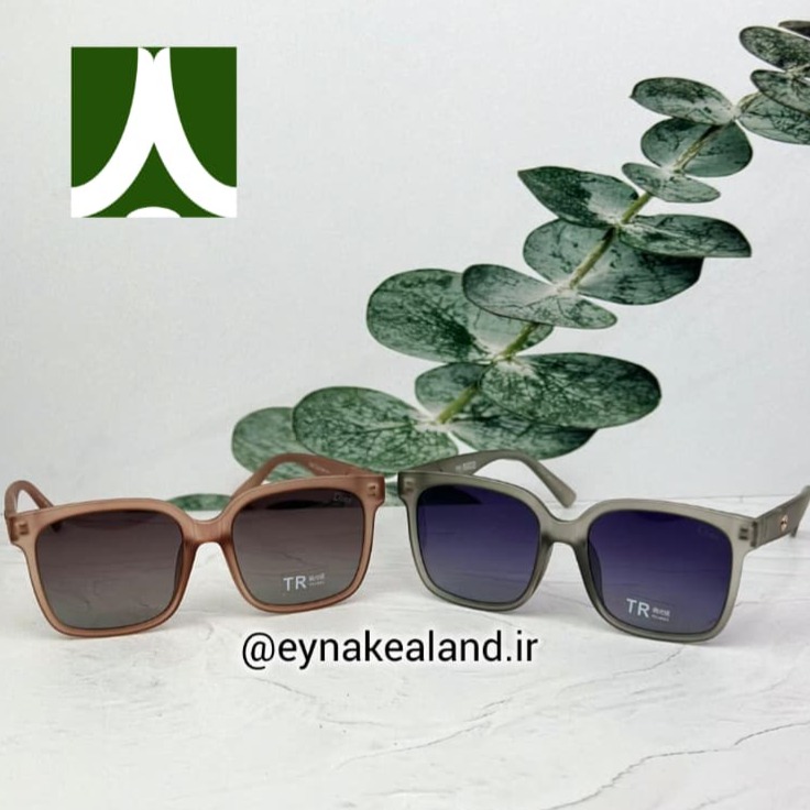 عینک آفتابی دیور TR کد 348