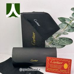 پک عینک اورجینال کارتیر کد 349