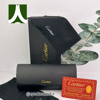 پک عینک اورجینال کارتیر کد 349
