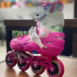 اسکیت کفشی فلای ایگل S5+