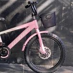 دوچرخه کودک گودبیبی (GOODBABY) سایز 20 – رنگ صورتی