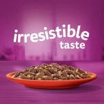 کنسرو گربه بالغ ویسکاس با طعم گوشت گاو در سس / Whiskas canned wet cat food with beef in gravy