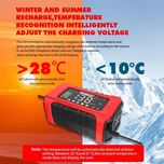 شارژر و تستر باتری خودرو 15 آمپر مدل  rj-c121501a