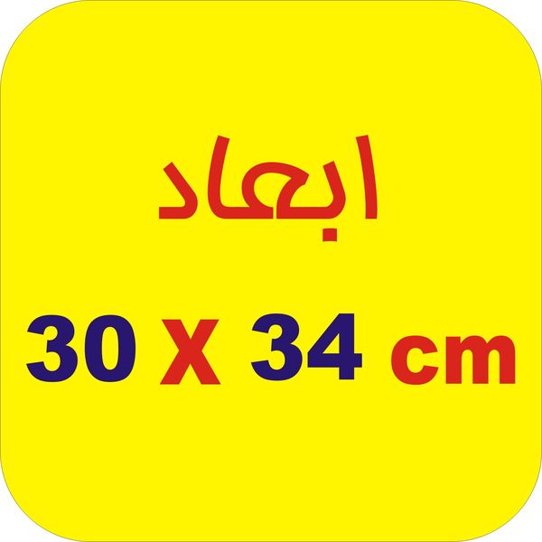 برچسب بدنه خودرو لیزارد مدل اسپورت طرح winged skuli کد LZD-824