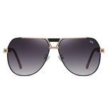 عینک آفتابی خلبانی (Aviator) مردانه آلبرت وگ مدل JS8549-C218-P120 Polarized Avantgarde Visionary