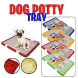سینی ادرار سگ دنیل / Danniel dog potty tray