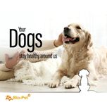 مکمل سگ گلدن رتریور بایو پت مدل Golden Retriever وزن 500 گرم