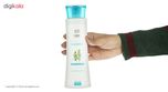 شامپو ضد شوره سینره مدل Anti Dandruff Willow حجم 250 میلی لیتر