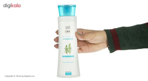 شامپو ضد شوره سینره مدل Anti Dandruff Willow حجم 250 میلی لیتر