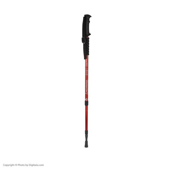 عصای کوهنوردی آنتی شوک مدل T-01