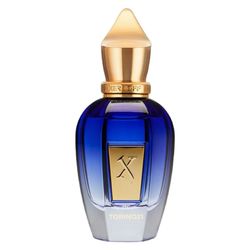 عطر ادکلن تورینو 21 زرجف | Xerjoff Torino 21