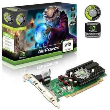 Graphic Card Point OF View Geforce 210 1GB DDR3