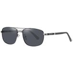 عینک آفتابی مردانه آلبرت وگ مدل 6313C85-P101 Polarized Avantgarde Visionary