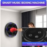 کیسه بوکس موزیکال