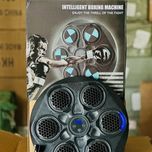 کیسه بوکس موزیکال