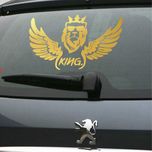 برچسب بدنه خودرو رادیانس طرح LionFly کد B42