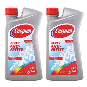 ضدیخ و ضدجوش خودرو کاسپین مدل چهار فصل حجم 1000 میلی لیتر بسته دو عددی
