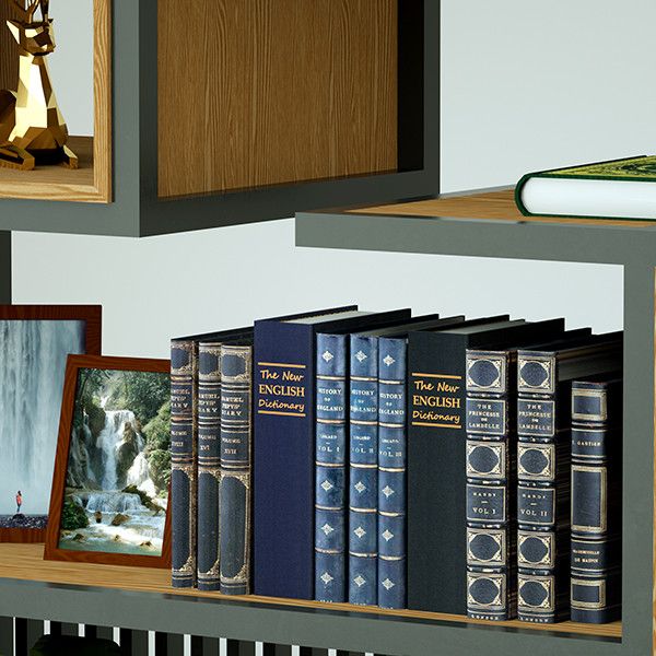 گاوصندوق سدید مدل مخفی کتابی مدل کلیدی وزن 1 کیلوگرم