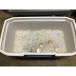 یخچال سفری کلمن مدل 70Quart Xtreme 5 Cooler کد F2022 گنجایش 66.2 لیتر